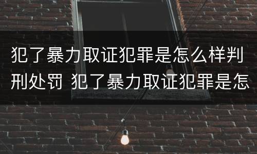 犯了暴力取证犯罪是怎么样判刑处罚 犯了暴力取证犯罪是怎么样判刑处罚多少钱