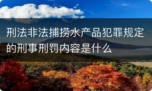 刑法非法捕捞水产品犯罪规定的刑事刑罚内容是什么