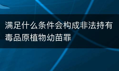 满足什么条件会构成非法持有毒品原植物幼苗罪