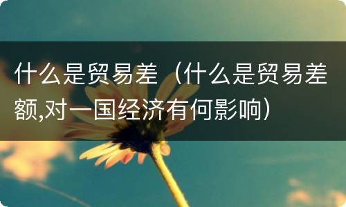 什么是贸易差（什么是贸易差额,对一国经济有何影响）