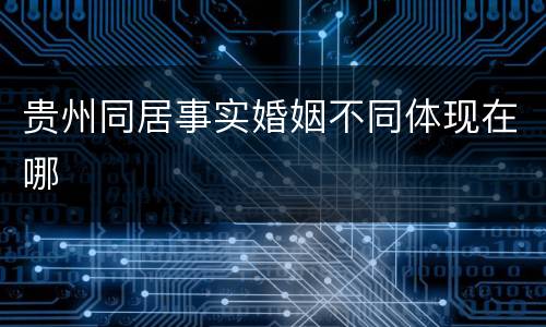 贵州同居事实婚姻不同体现在哪