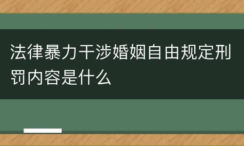法律暴力干涉婚姻自由规定刑罚内容是什么