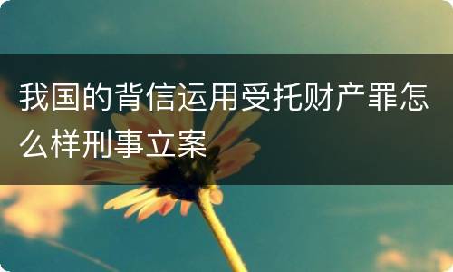 我国的背信运用受托财产罪怎么样刑事立案
