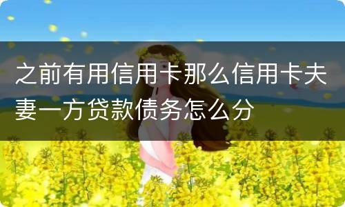 之前有用信用卡那么信用卡夫妻一方贷款债务怎么分