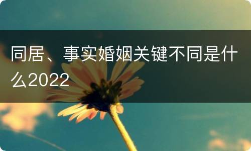 同居、事实婚姻关键不同是什么2022