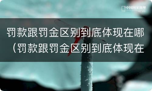 罚款跟罚金区别到底体现在哪（罚款跟罚金区别到底体现在哪里）