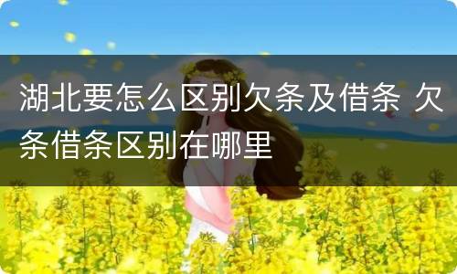 湖北要怎么区别欠条及借条 欠条借条区别在哪里