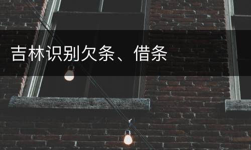 吉林识别欠条、借条