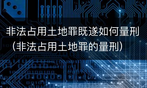 非法占用土地罪既遂如何量刑（非法占用土地罪的量刑）