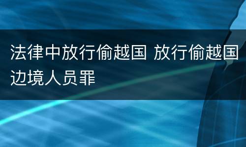 法律中放行偷越国 放行偷越国边境人员罪