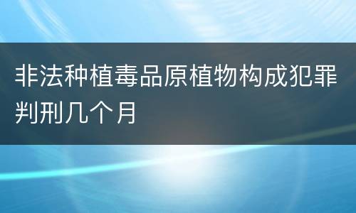 非法种植毒品原植物构成犯罪判刑几个月