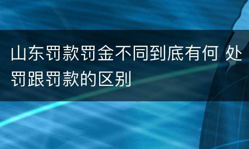 山东罚款罚金不同到底有何 处罚跟罚款的区别