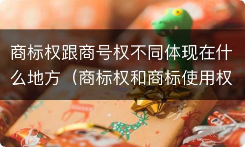 商标权跟商号权不同体现在什么地方（商标权和商标使用权的区别）