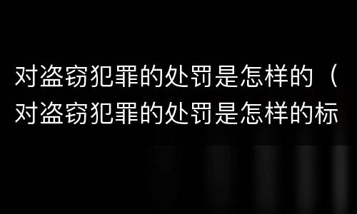 对盗窃犯罪的处罚是怎样的（对盗窃犯罪的处罚是怎样的标准）
