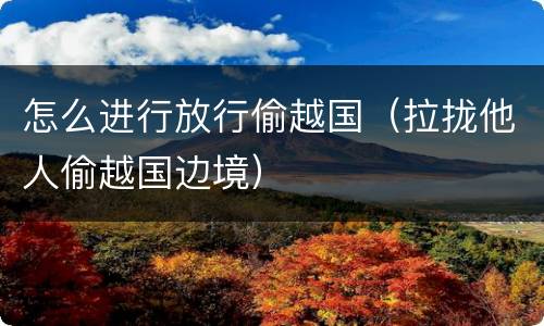 怎么进行放行偷越国（拉拢他人偷越国边境）