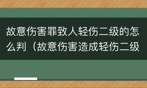 故意伤害罪致人轻伤二级的怎么判（故意伤害造成轻伤二级怎么判刑）