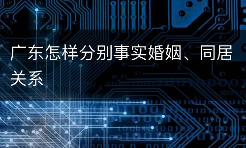 广东怎样分别事实婚姻、同居关系