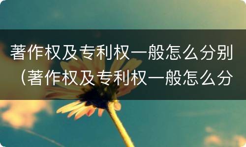 著作权及专利权一般怎么分别（著作权及专利权一般怎么分别使用）