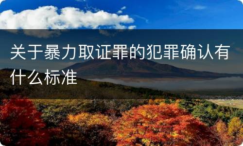 关于暴力取证罪的犯罪确认有什么标准