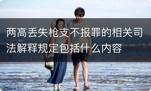两高丢失枪支不报罪的相关司法解释规定包括什么内容