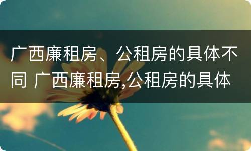 广西廉租房、公租房的具体不同 广西廉租房,公租房的具体不同地址