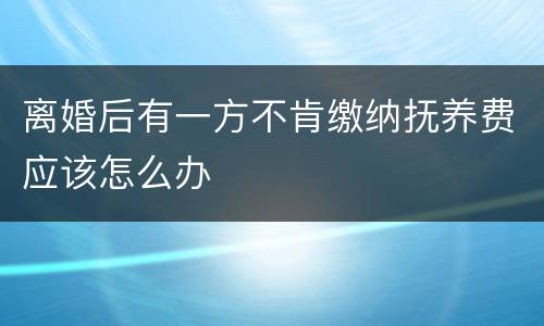 离婚后有一方不肯缴纳抚养费应该怎么办
