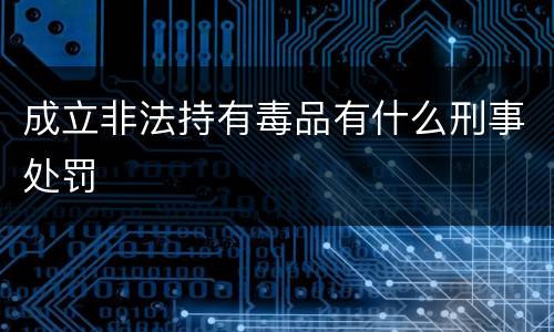 成立非法持有毒品有什么刑事处罚