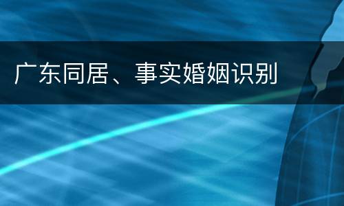 广东同居、事实婚姻识别