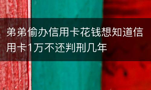 弟弟偷办信用卡花钱想知道信用卡1万不还判刑几年