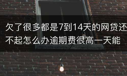 欠了很多都是7到14天的网贷还不起怎么办逾期费很高一天能张几百