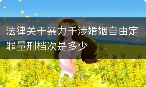 法律关于暴力干涉婚姻自由定罪量刑档次是多少