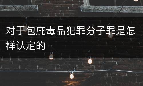 对于包庇毒品犯罪分子罪是怎样认定的
