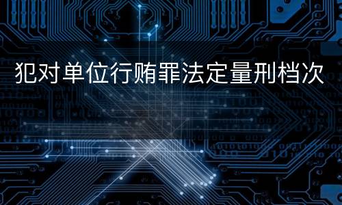 犯对单位行贿罪法定量刑档次