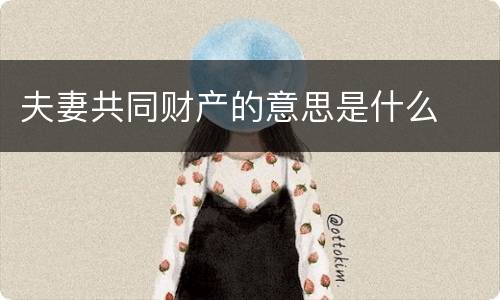 夫妻共同财产的意思是什么