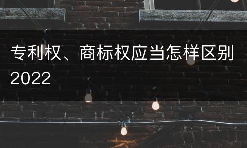 专利权、商标权应当怎样区别2022