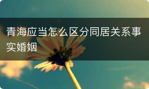 青海应当怎么区分同居关系事实婚姻
