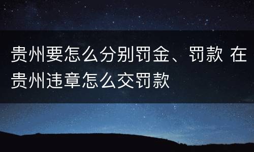 贵州要怎么分别罚金、罚款 在贵州违章怎么交罚款
