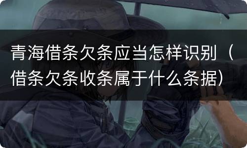 青海借条欠条应当怎样识别（借条欠条收条属于什么条据）