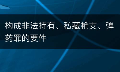 构成非法持有、私藏枪支、弹药罪的要件