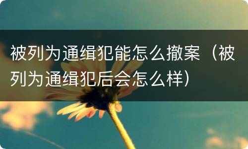 被列为通缉犯能怎么撤案（被列为通缉犯后会怎么样）