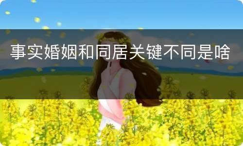 事实婚姻和同居关键不同是啥