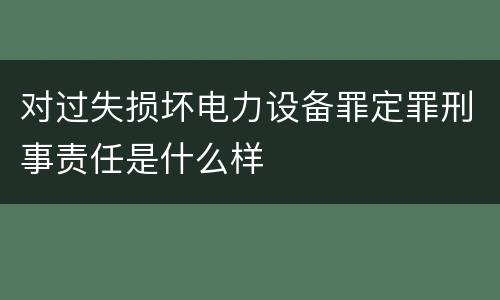 对过失损坏电力设备罪定罪刑事责任是什么样