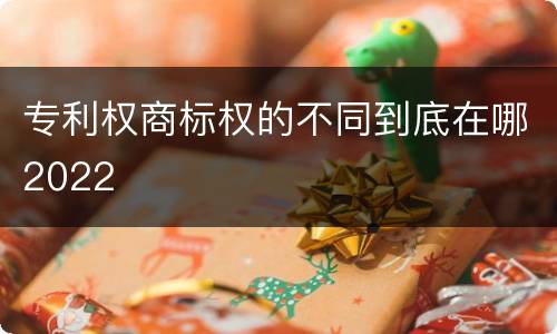 专利权商标权的不同到底在哪2022