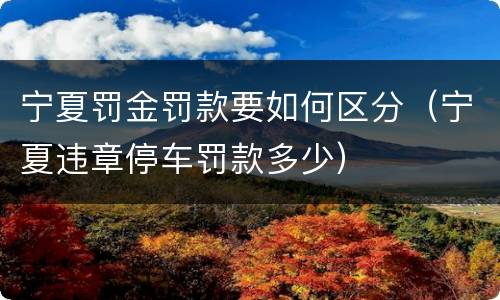 宁夏罚金罚款要如何区分（宁夏违章停车罚款多少）