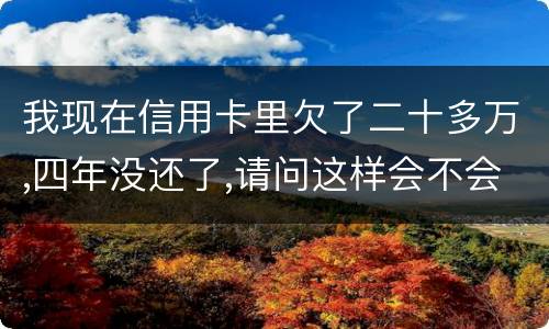 我现在信用卡里欠了二十多万,四年没还了,请问这样会不会构成刑法金融诈骗罪