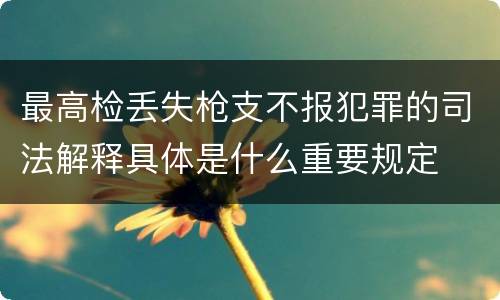 最高检丢失枪支不报犯罪的司法解释具体是什么重要规定