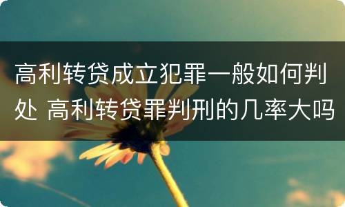 高利转贷成立犯罪一般如何判处 高利转贷罪判刑的几率大吗
