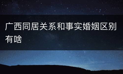广西同居关系和事实婚姻区别有啥