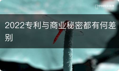 2022专利与商业秘密都有何差别