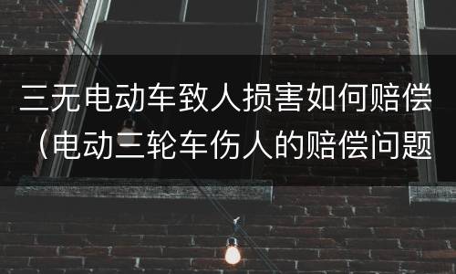 三无电动车致人损害如何赔偿（电动三轮车伤人的赔偿问题）